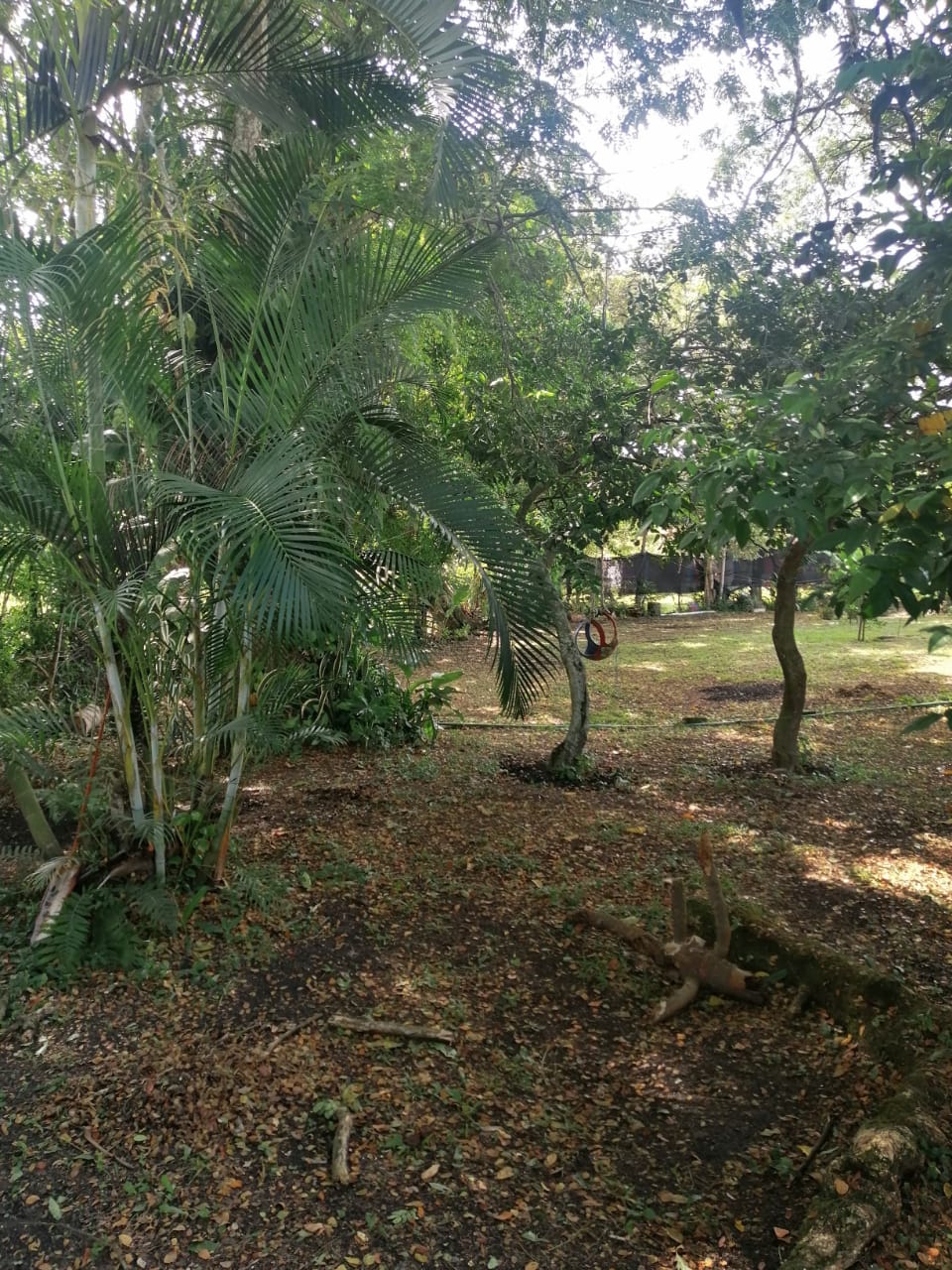 Galería 🌿 SE VENDE HERMOSA CASA CAMPESTRE  🌿