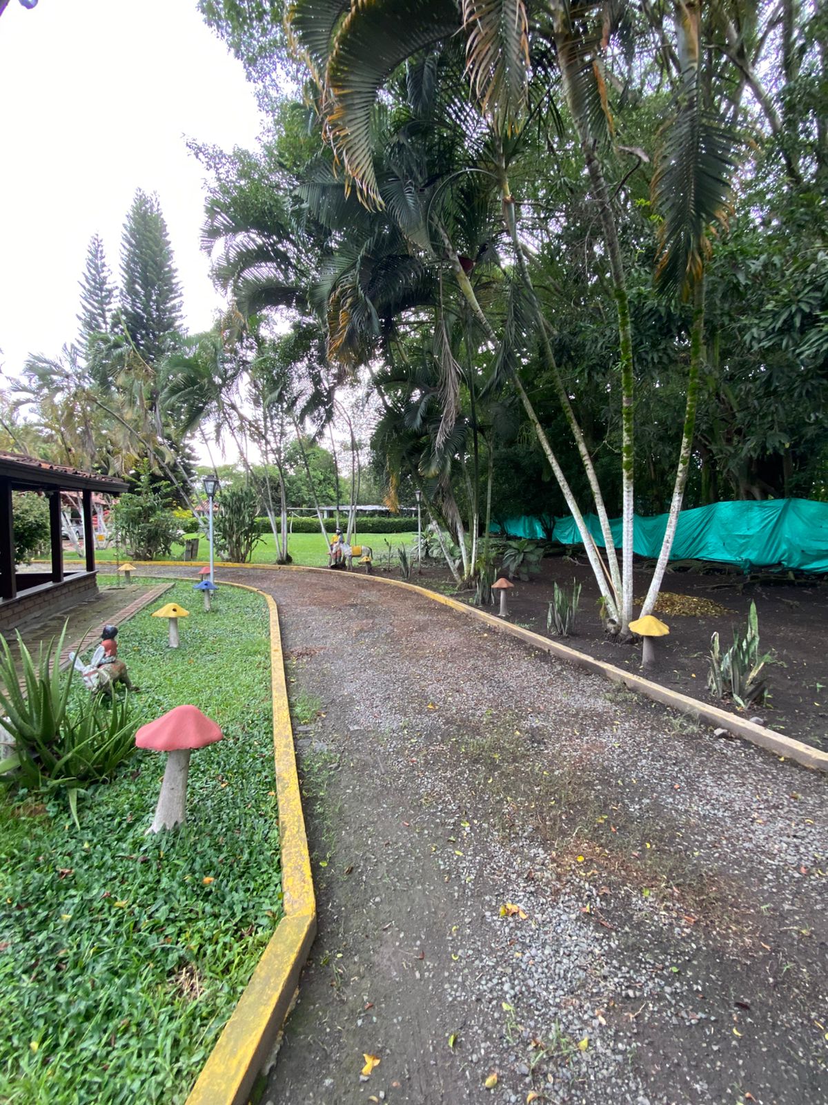 Galería 🌴🏡✨ ¡ESPECTACULAR FINCA PARA VENTA O RENTA EN ZARAGOZA!