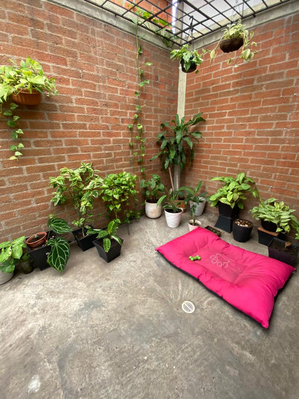 Galería 🏠✨ Se vende casa en Cerros de Puerto Asís